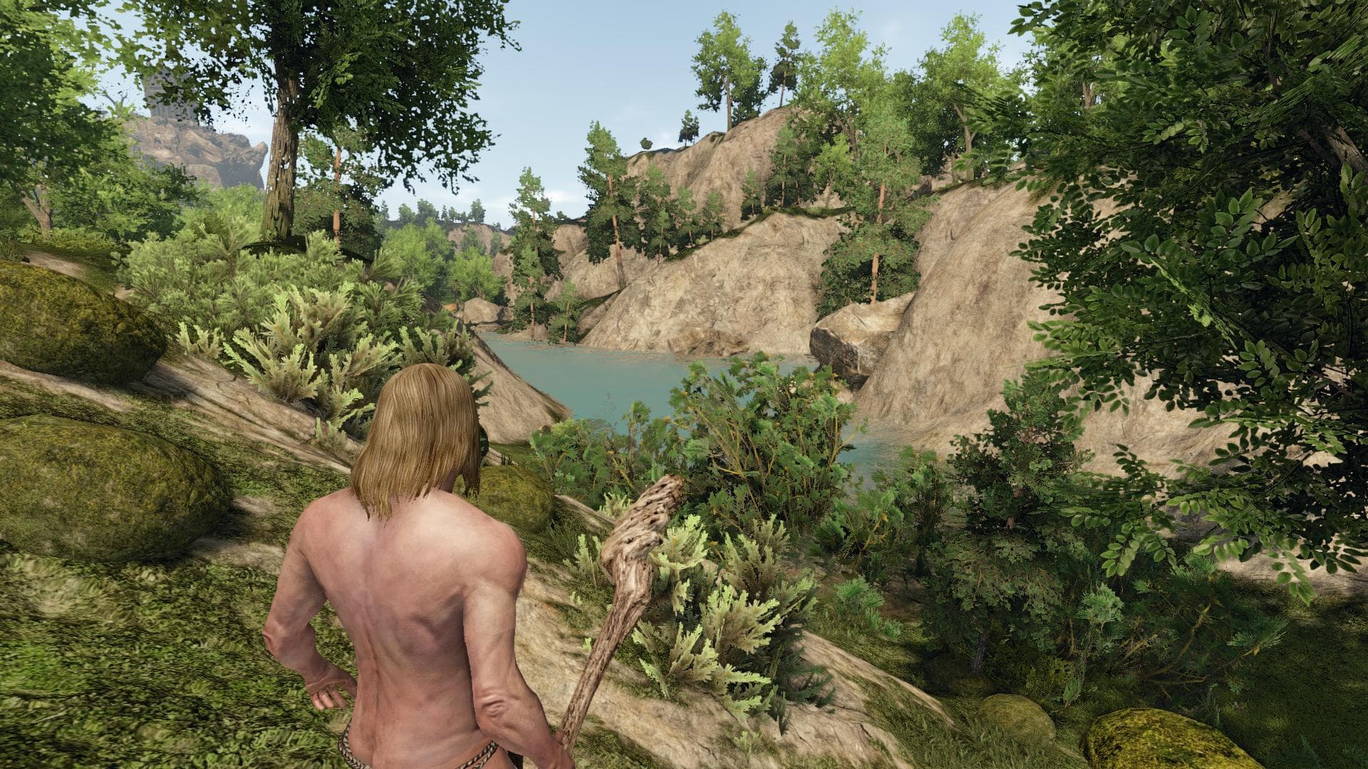 Reign of Kings PC Steam Account - 5