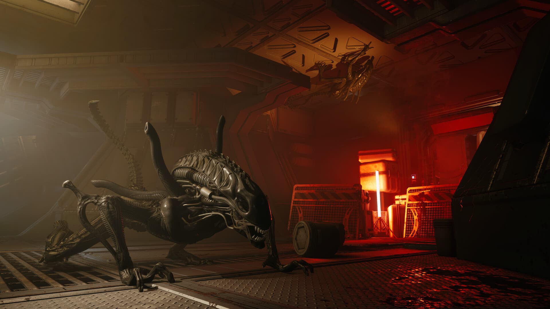 Alien: Rogue Incursion VR PC Steam Account - 7