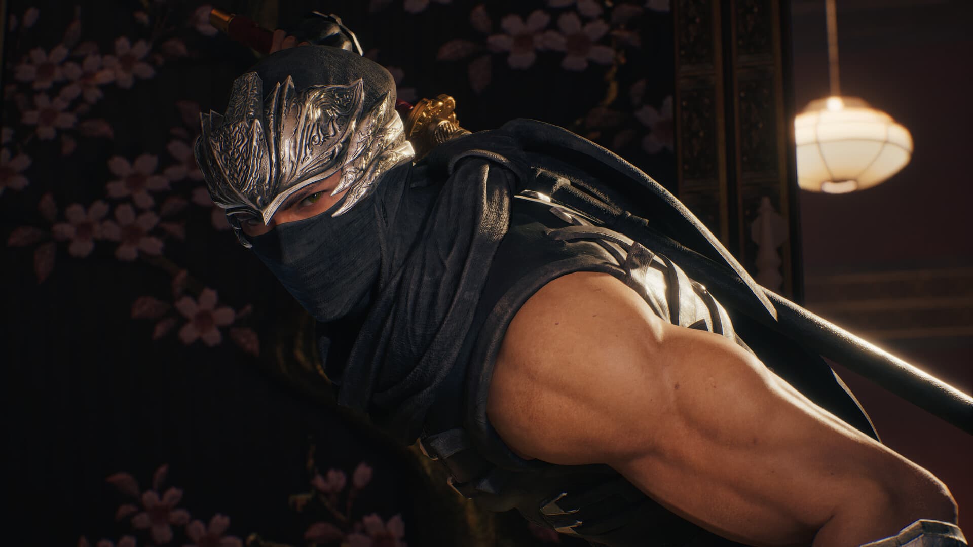 NINJA GAIDEN 2 Black PC Steam Account - 4