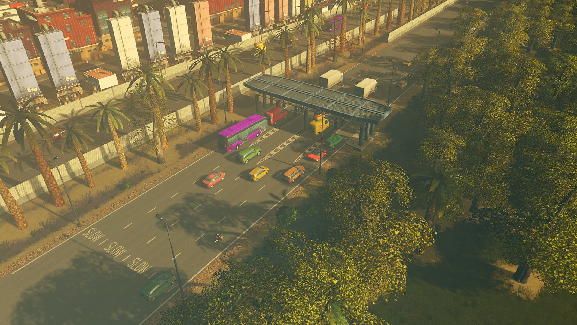 Cities: Skylines - 8