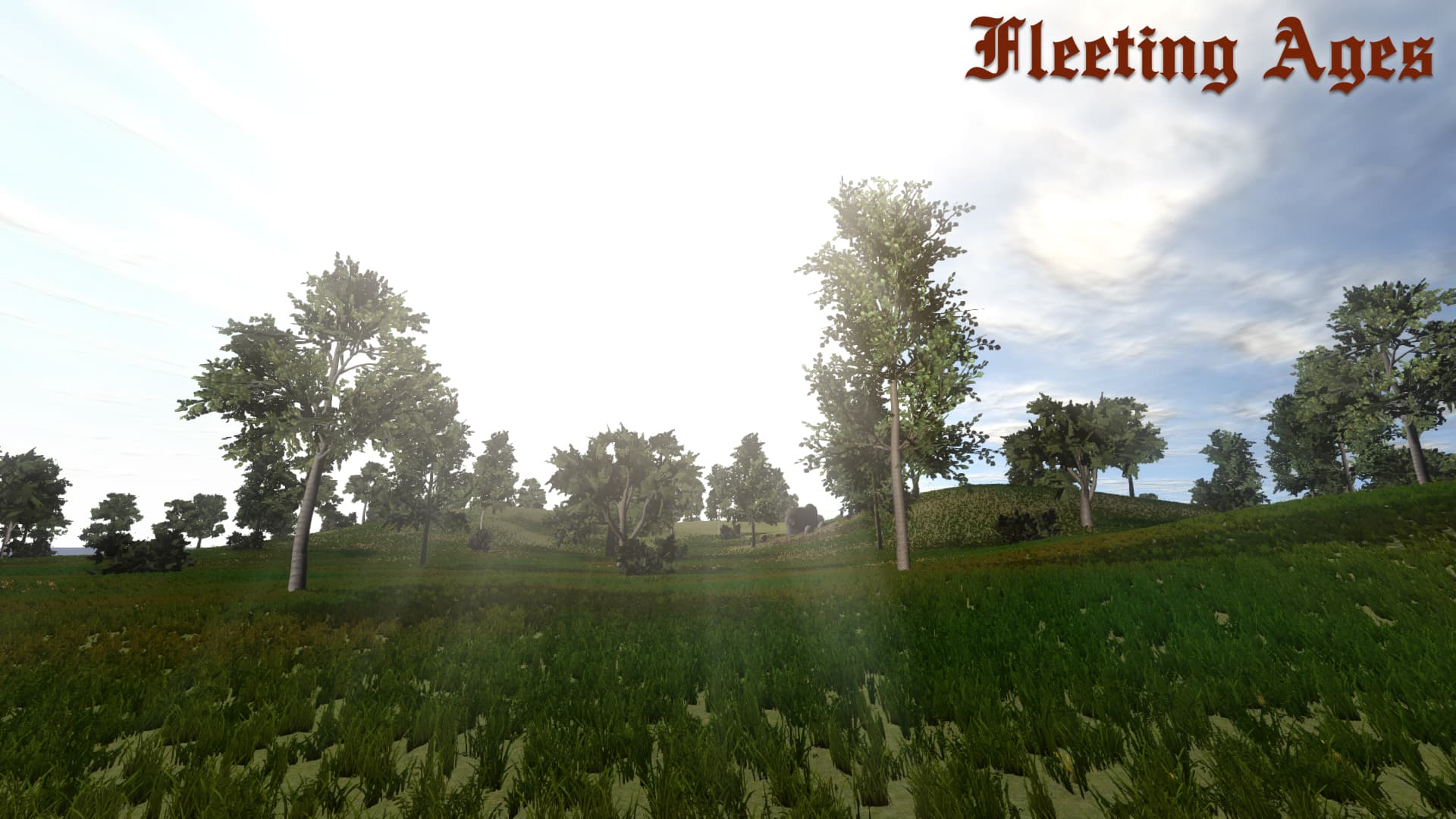 Fleeting Ages Steam CD Key - 2