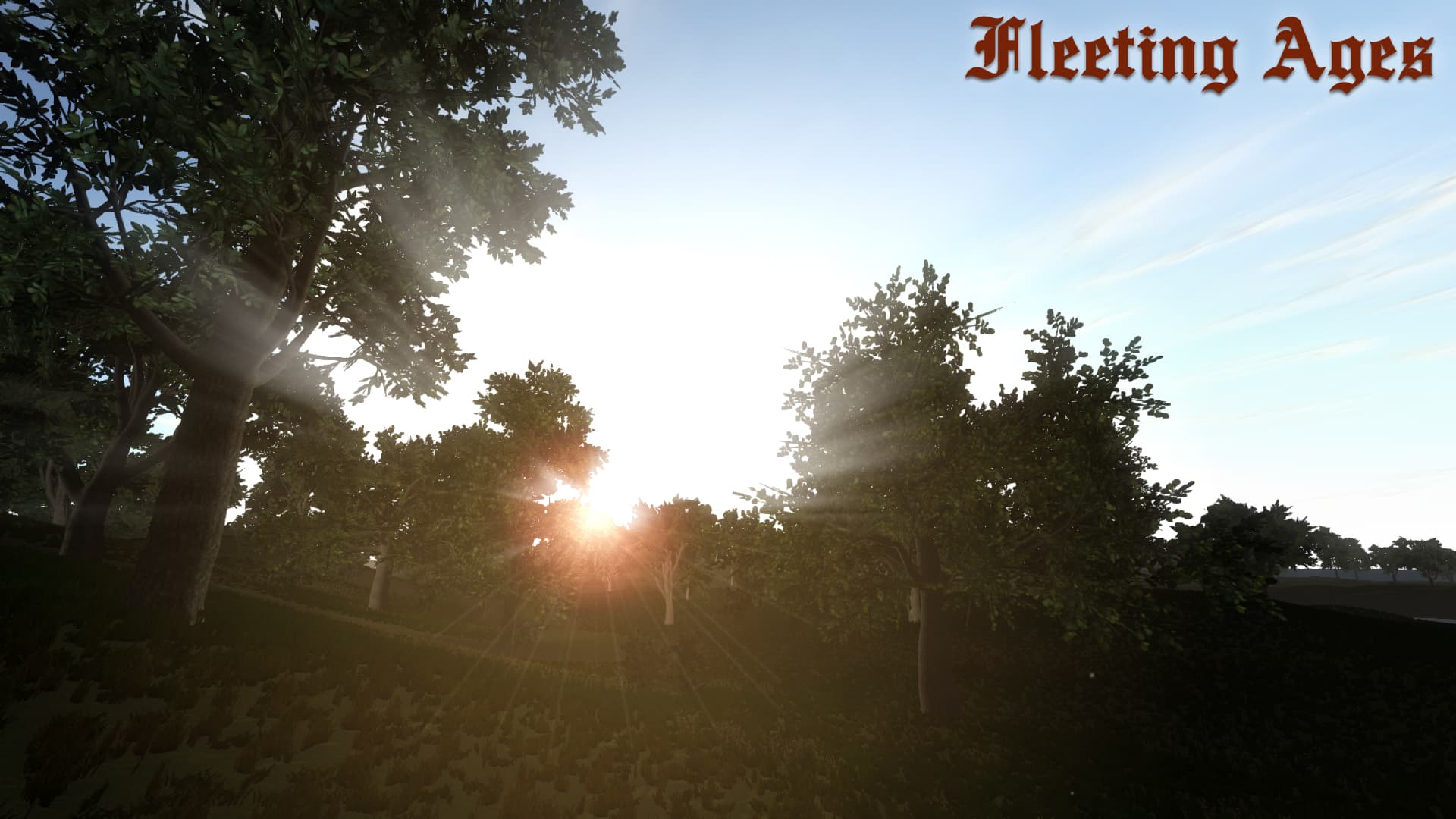 Fleeting Ages Steam CD Key - 3