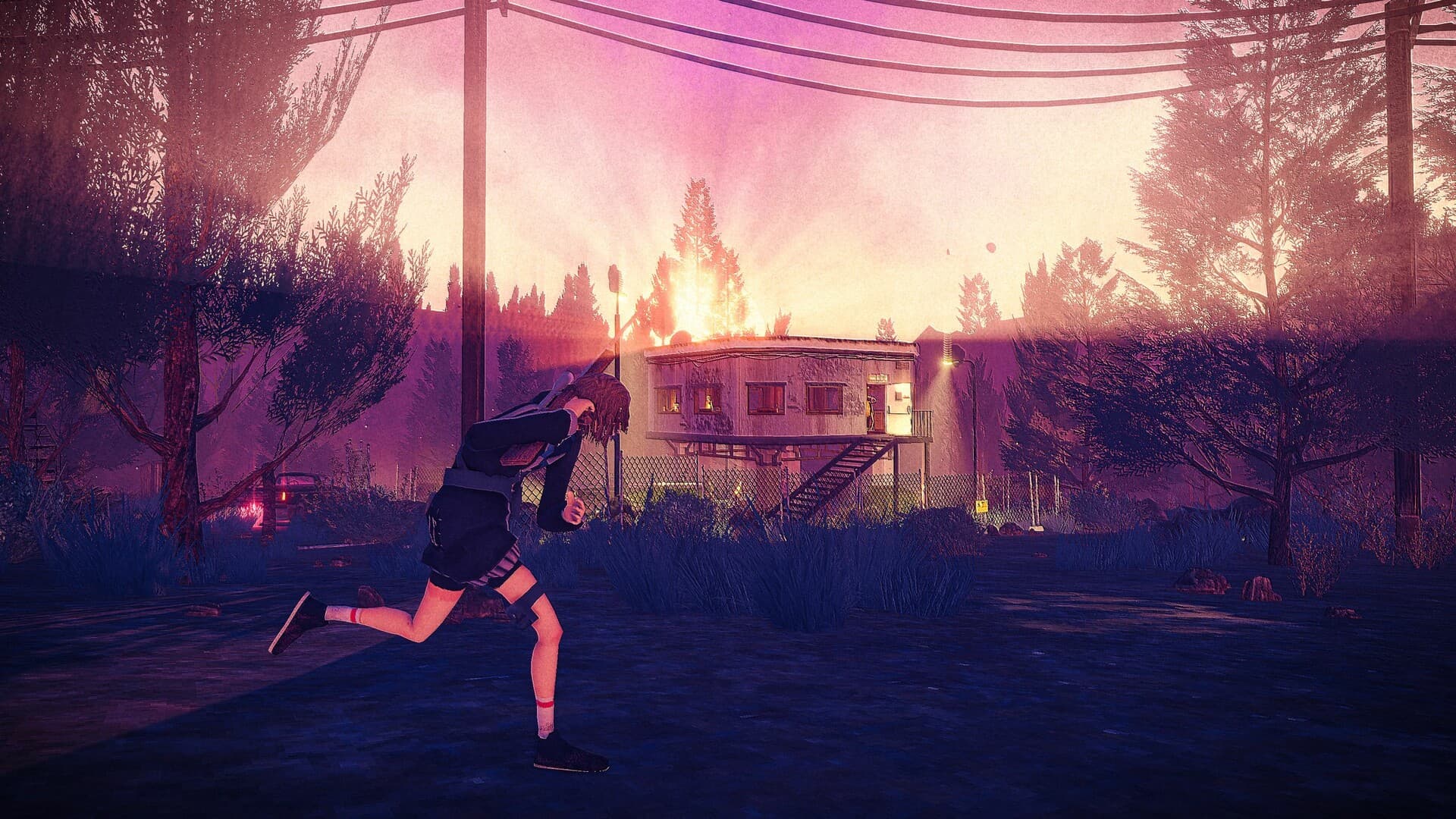 Children of the Sun PC Steam Account - 4
