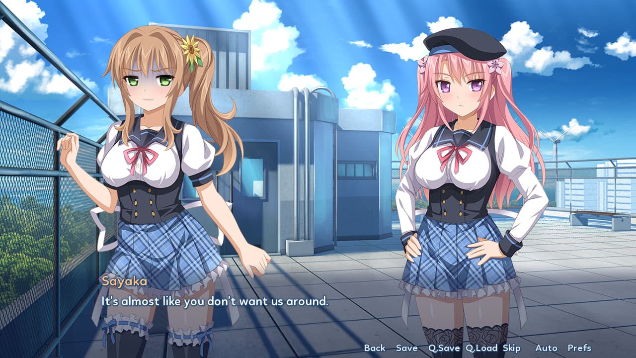 Sakura Angels Steam CD Key - 2