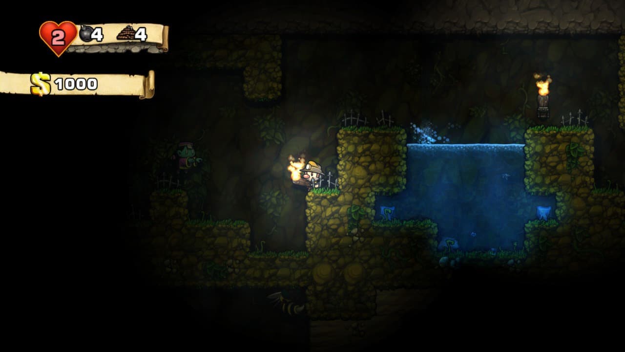 Spelunky PC Steam CD Key - 4