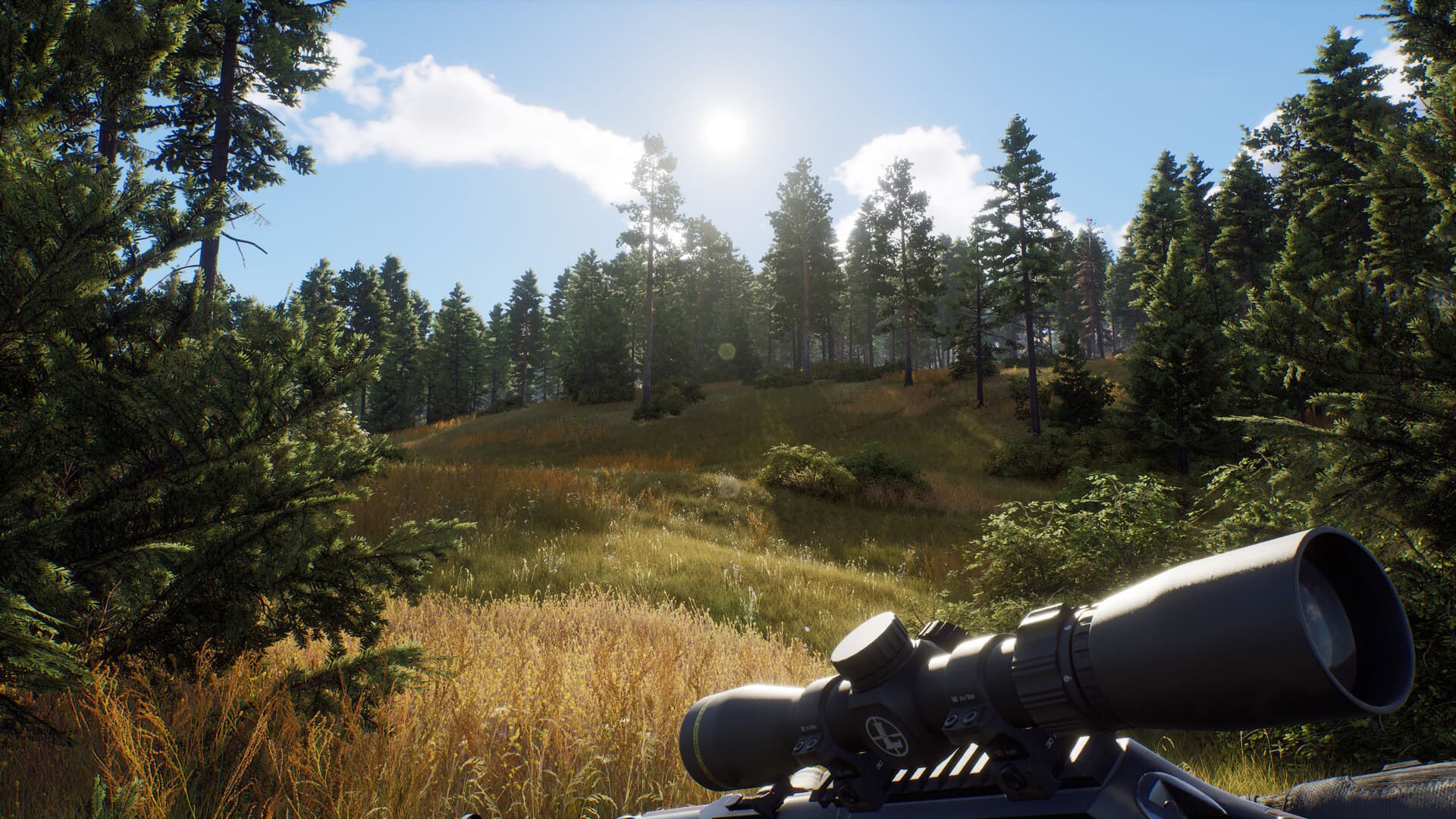 Way of the Hunter Steam Account - 3