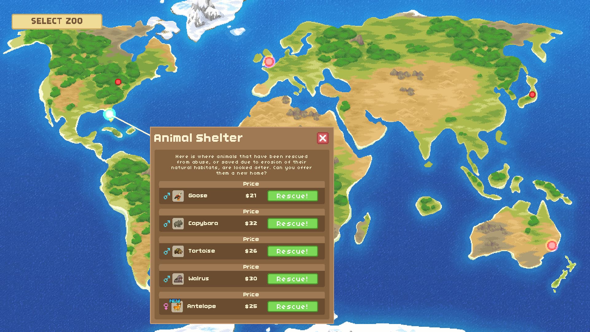 The Ultimate Let's Build a Zoo Bundle - 6