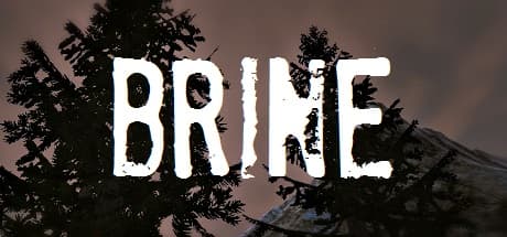 Brine PC Steam CD Key
