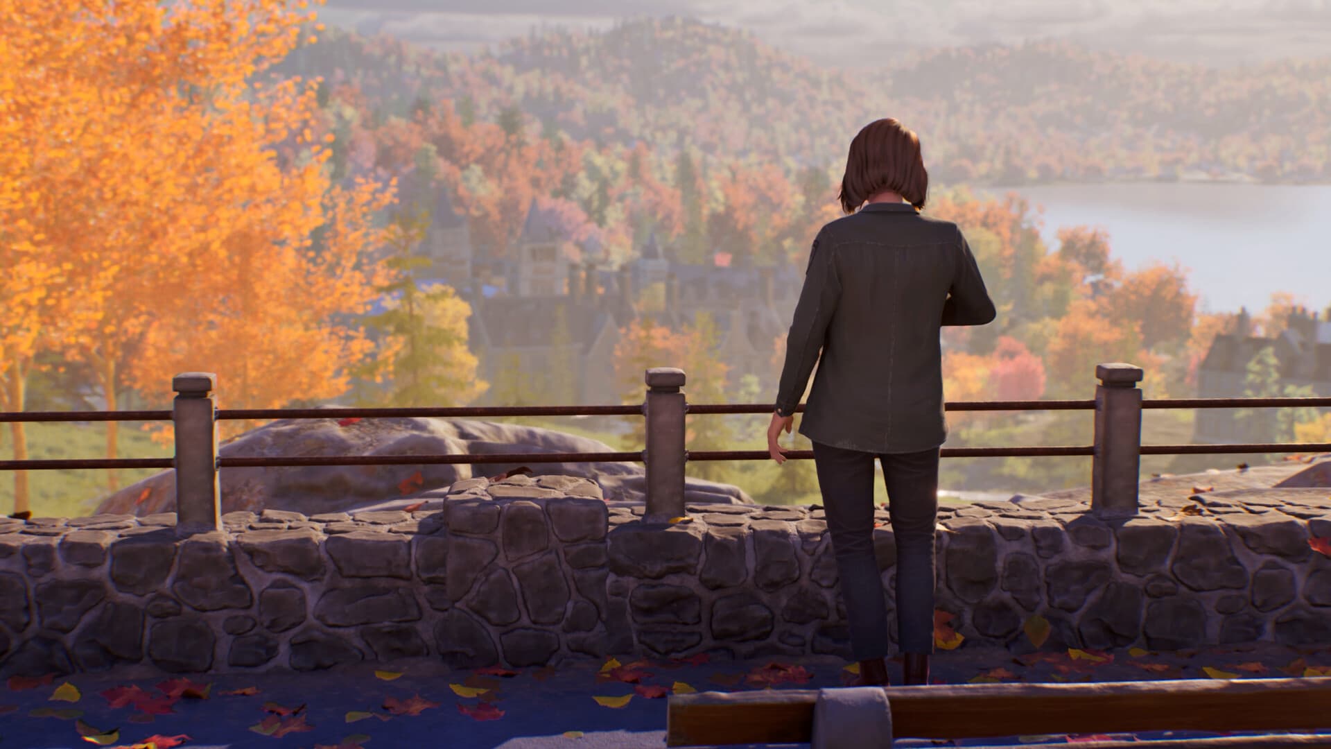 Life is Strange: Reunion PC Steam Account - 7