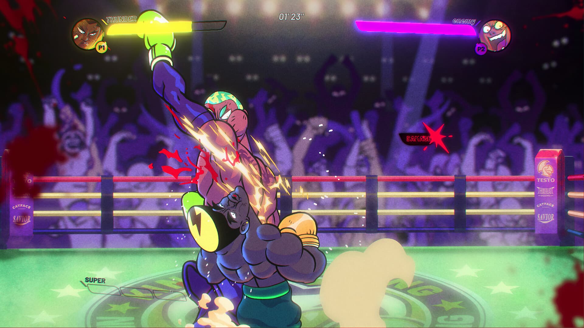 Thunder Ray PC Steam Account - 2