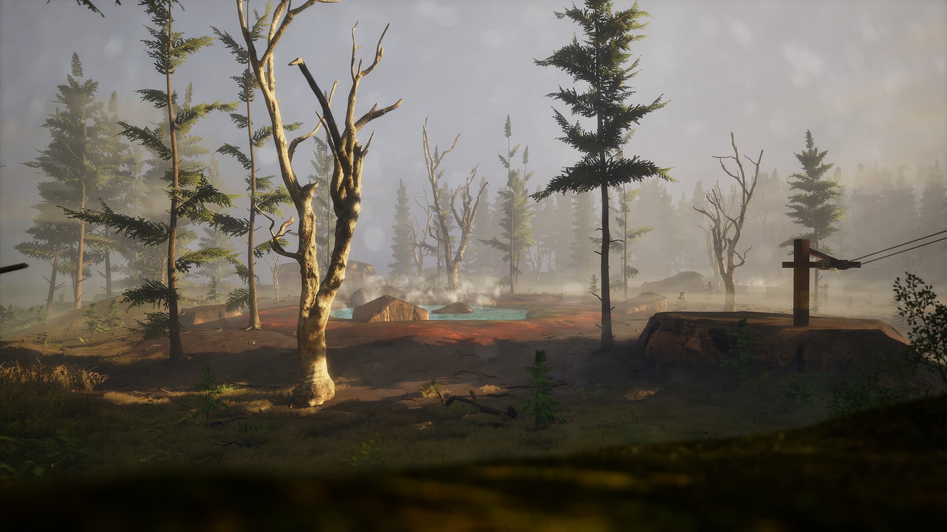 BIGFOOT Steam Account - 8