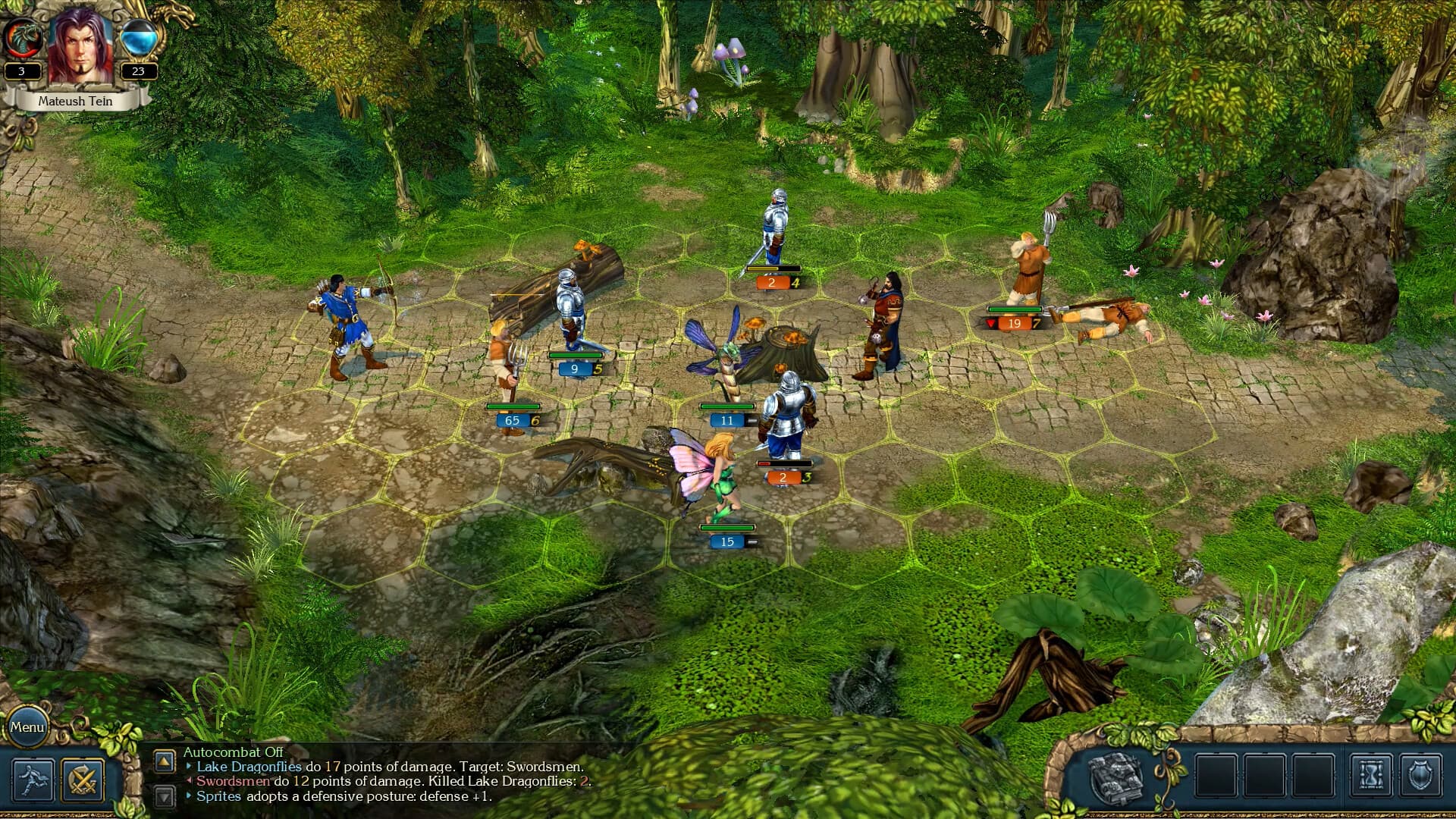 King's Bounty: The Legend Steam CD Key - 2