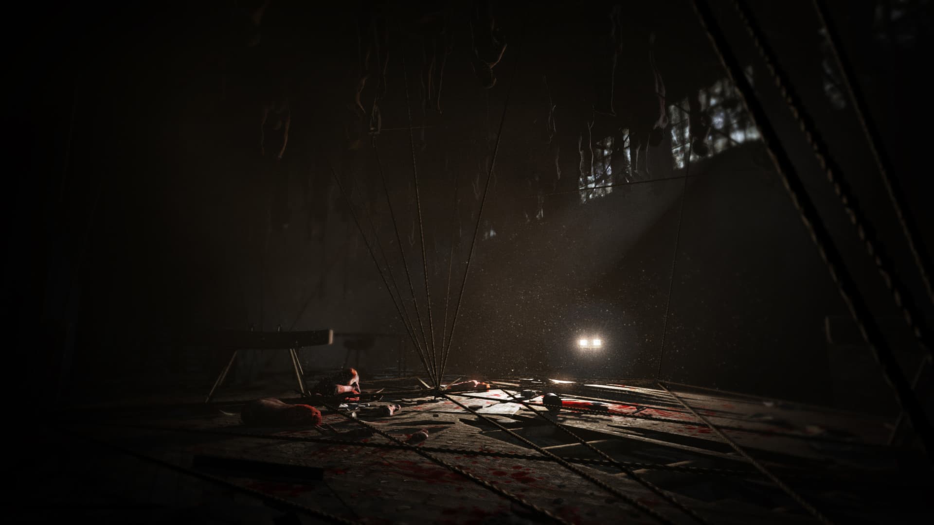 Outlast - Whistleblower DLC PC Steam CD Key - 7