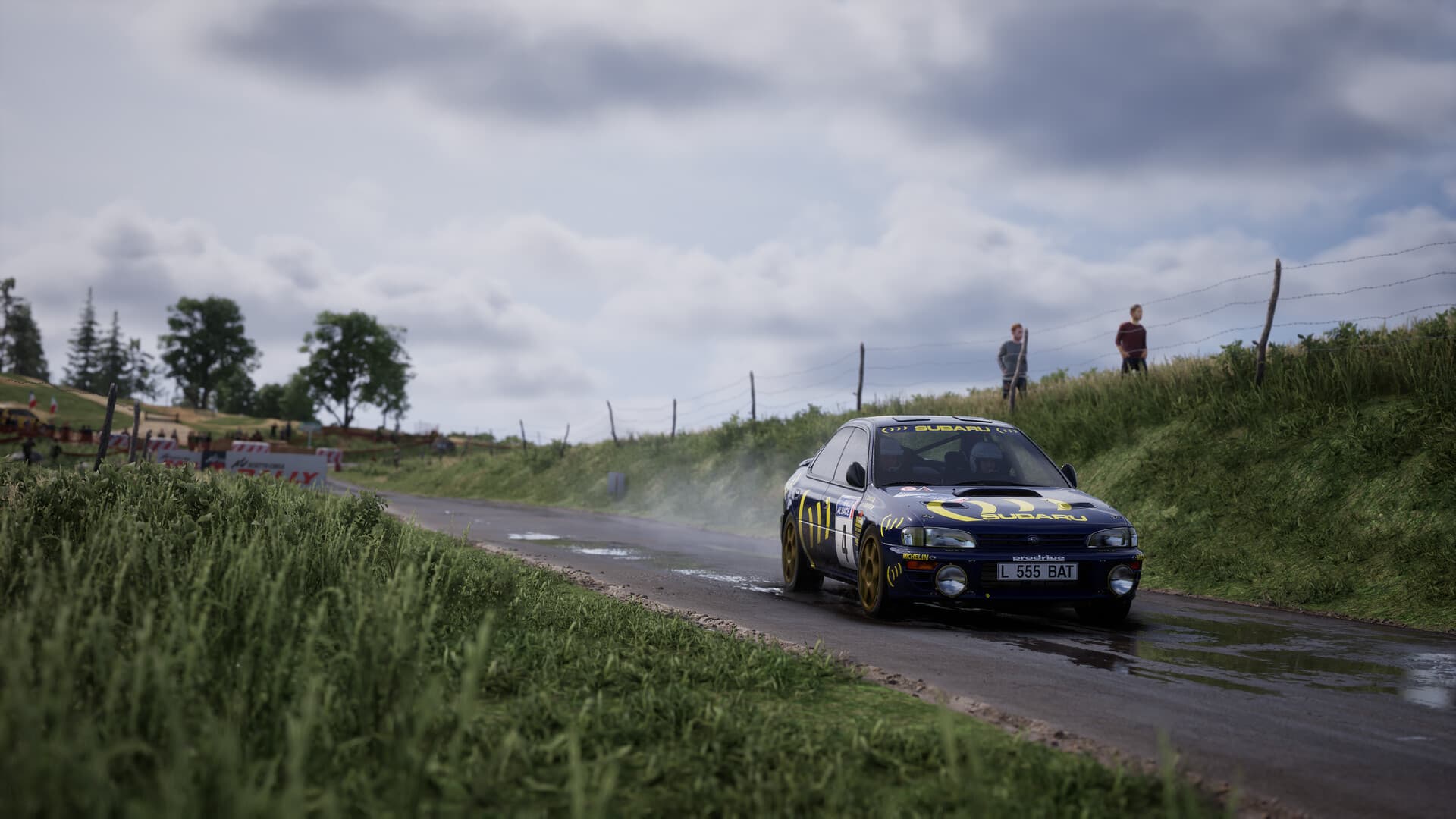 Assetto Corsa Rally PC Steam Account - 8