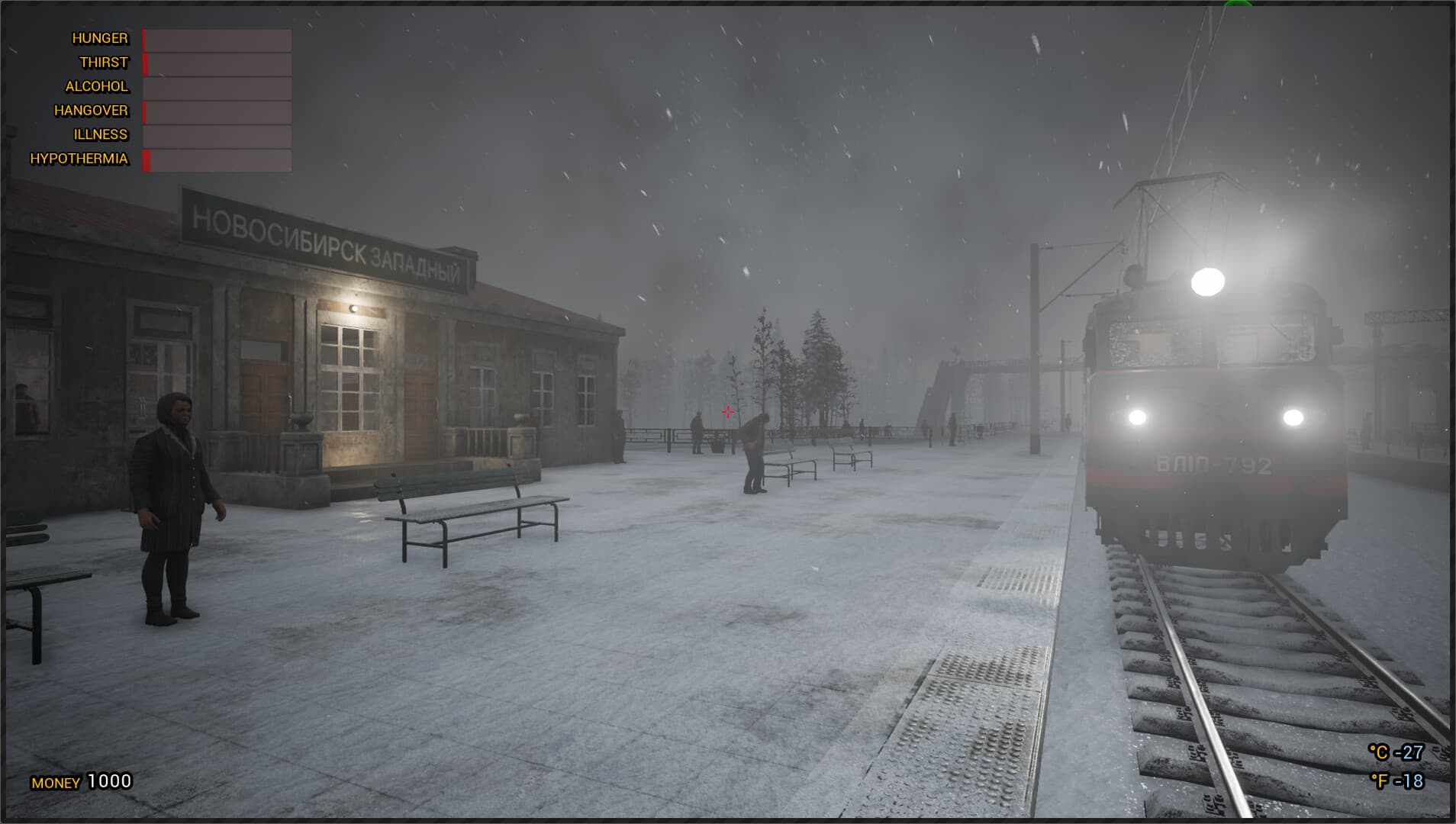 Trans-Siberian Railway Simulator PC Steam Account - 5