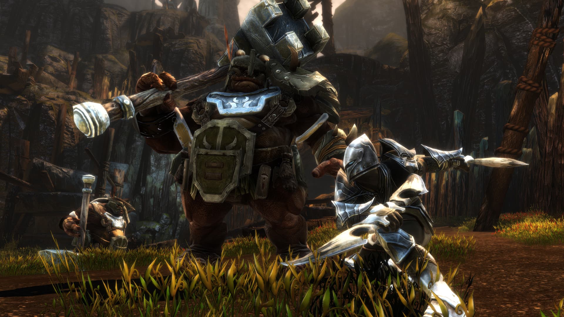 Kingdoms of Amalur: Re-Reckoning PC Steam Account - 2