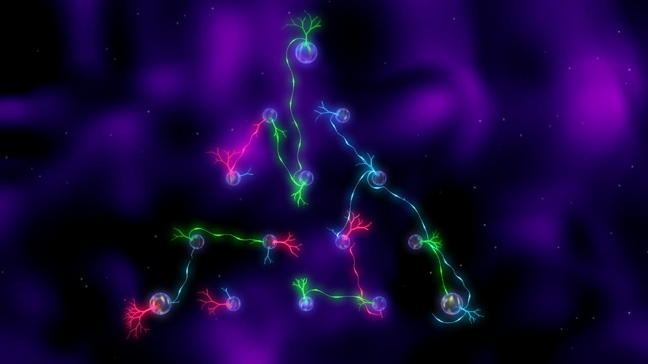 R.O.O.T.S Steam CD Key - 3
