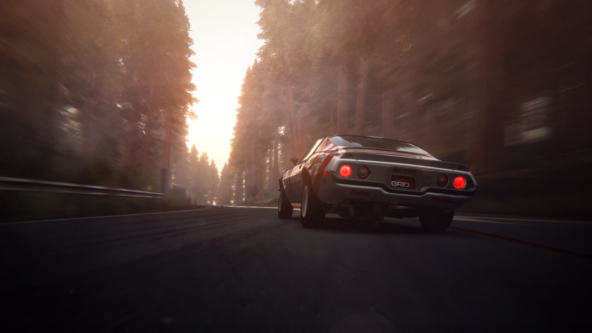 GRID 2 + Drift Pack PC Steam CD Key - 8