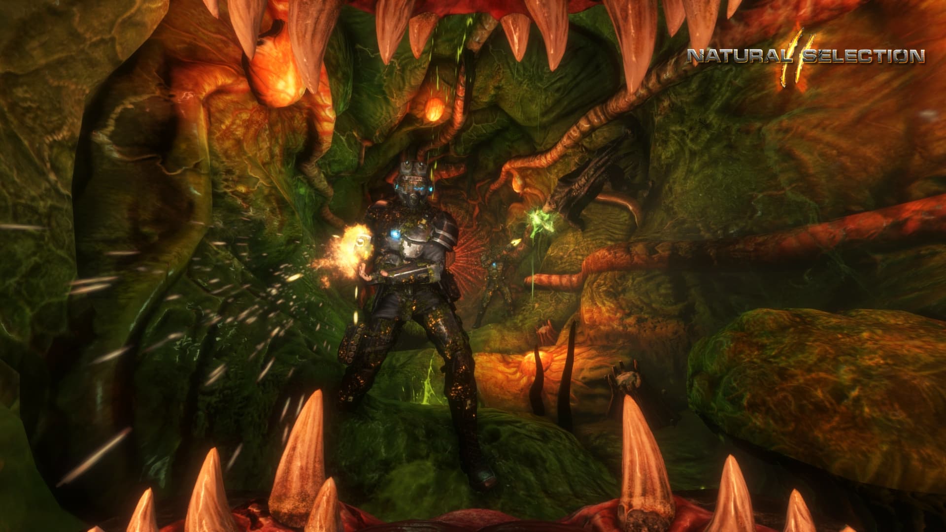 Natural Selection 2 PC Steam CD Key  - 2