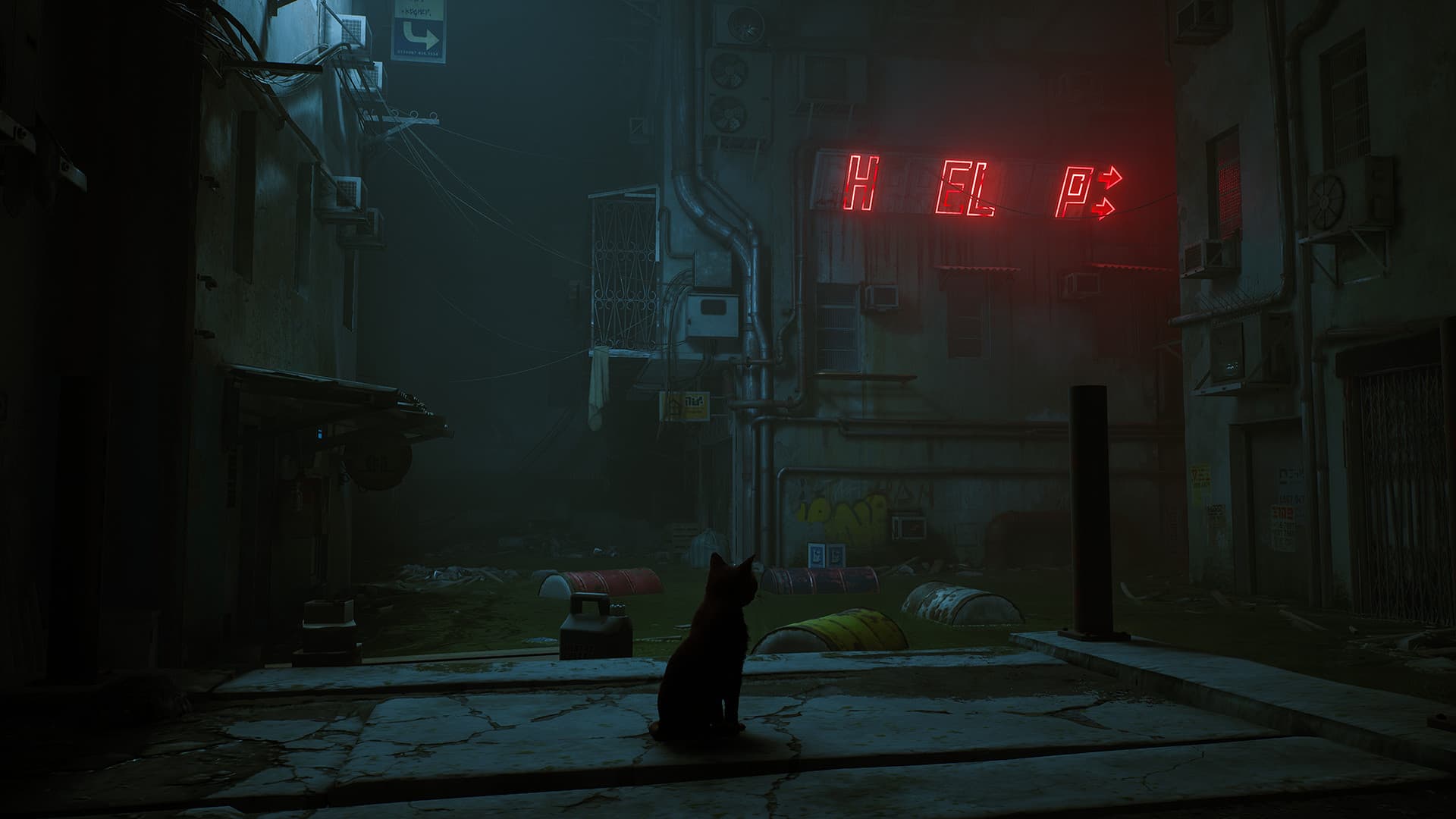 Stray - 6