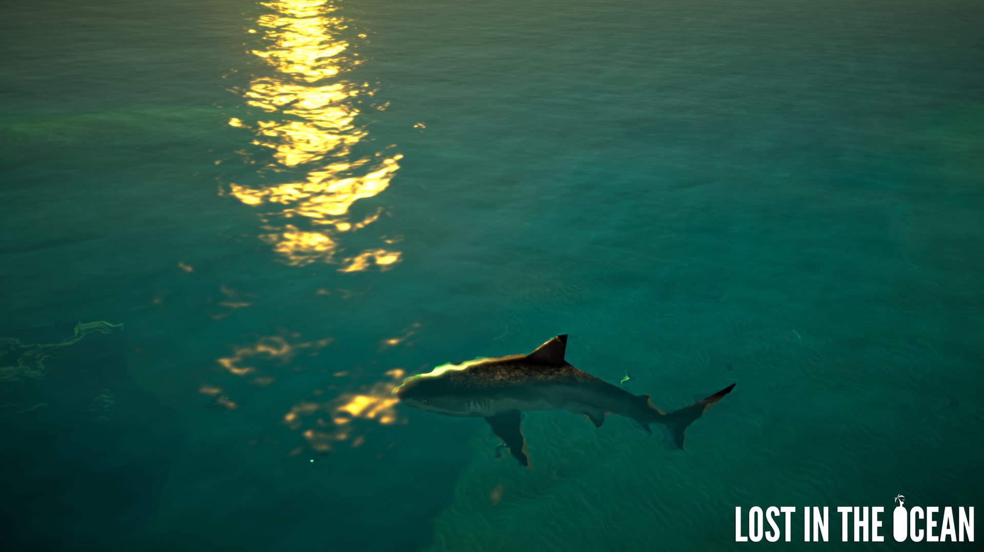 Lost in the Ocean VR Steam CD Key - 4