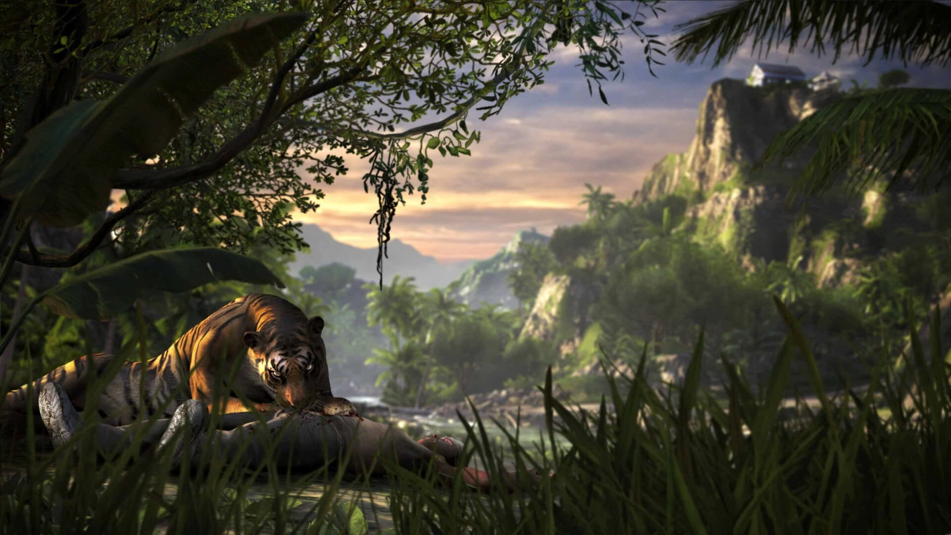 Far Cry 3 Deluxe Edition PC Steam CD Key - 6