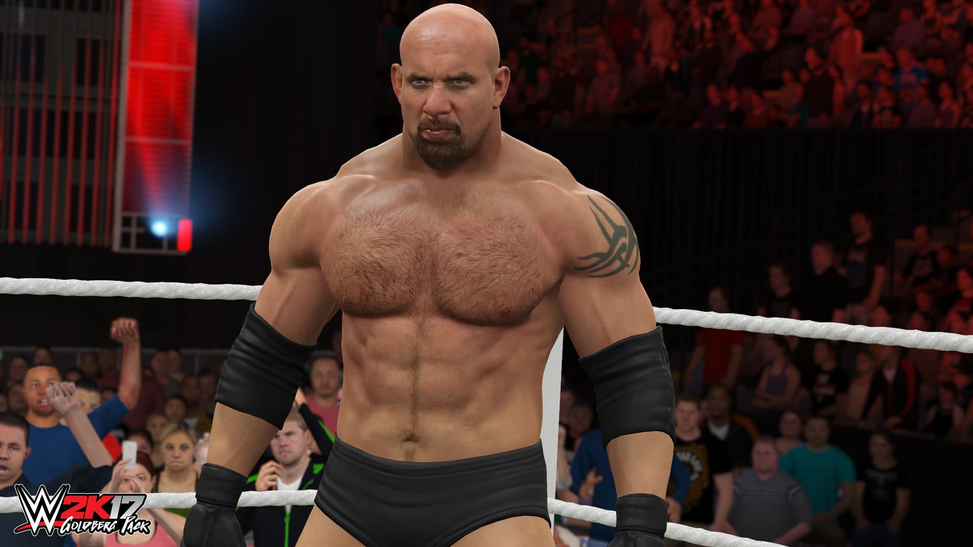 WWE 2K17 PC Steam CD Key - 3