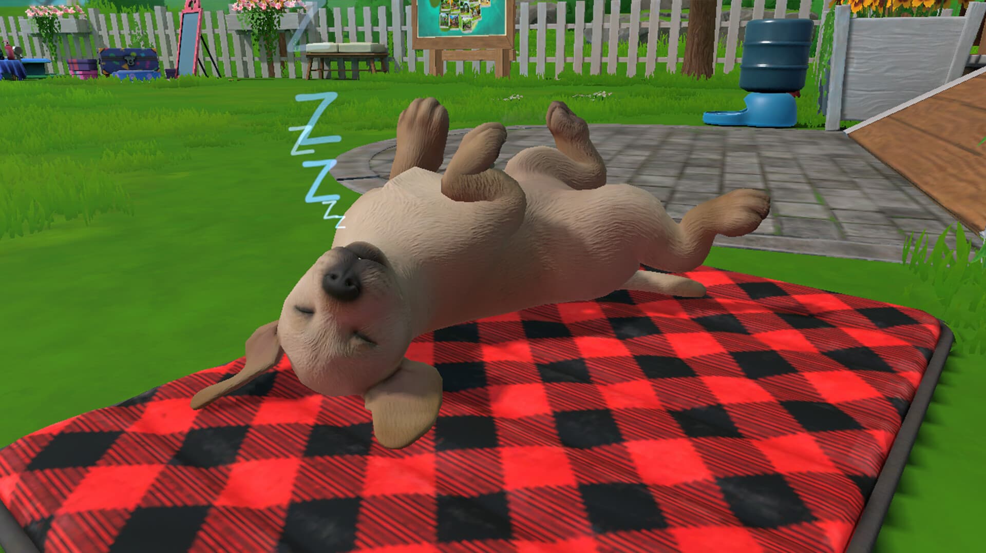 Little Friends: Puppy Island PC Steam Account - 4