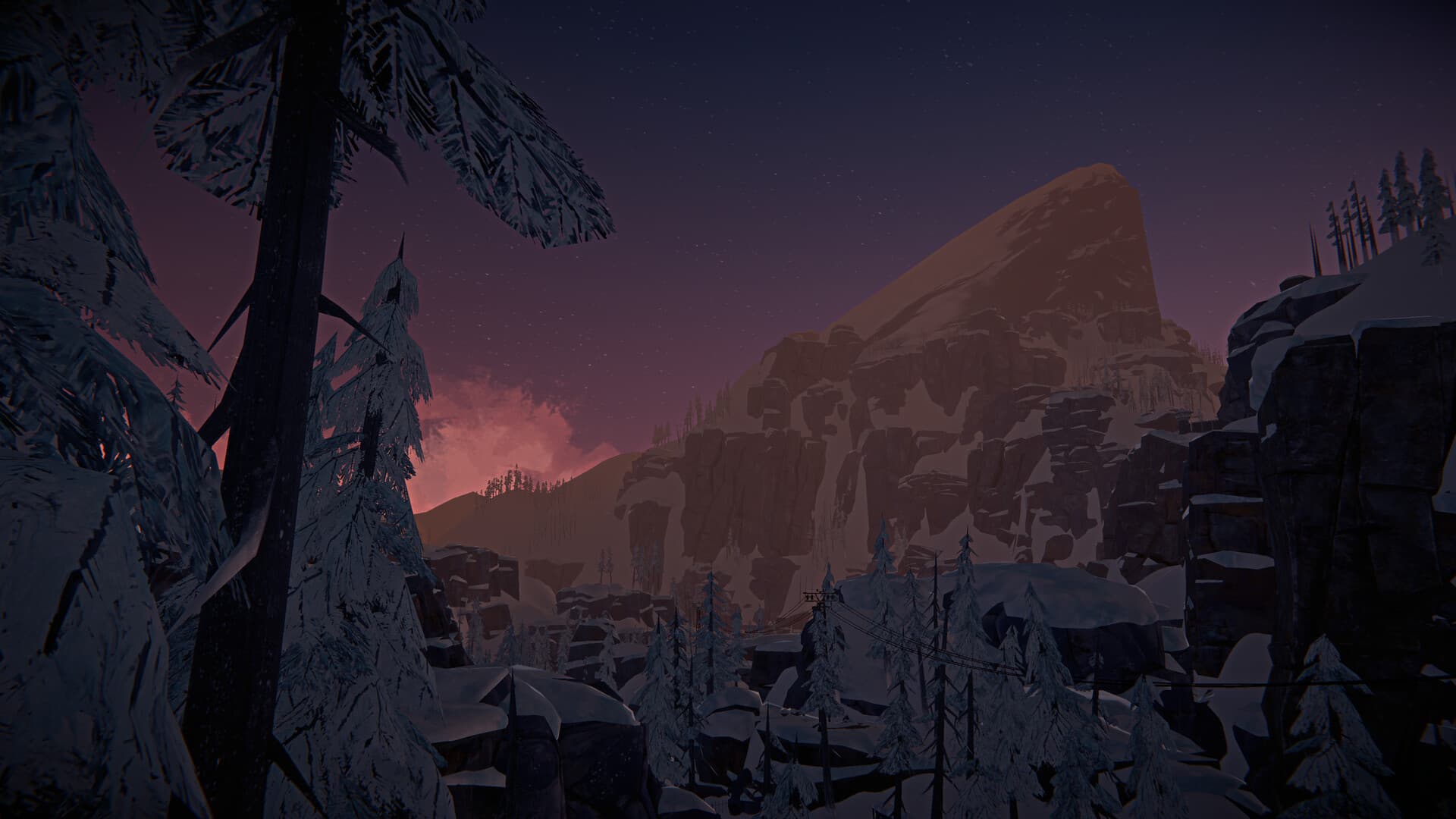 The Long Dark PC Steam Account - 6