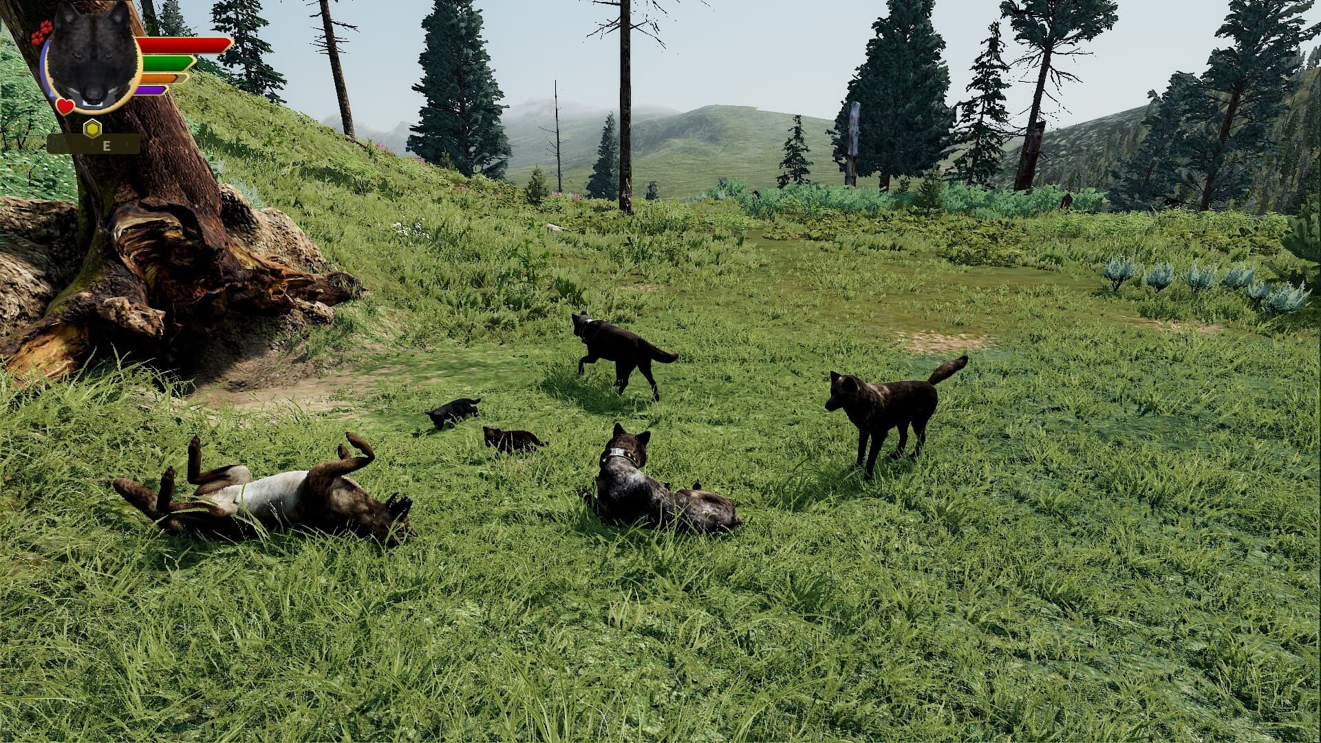 WolfQuest: Anniversary Edition PC Steam Account - 6