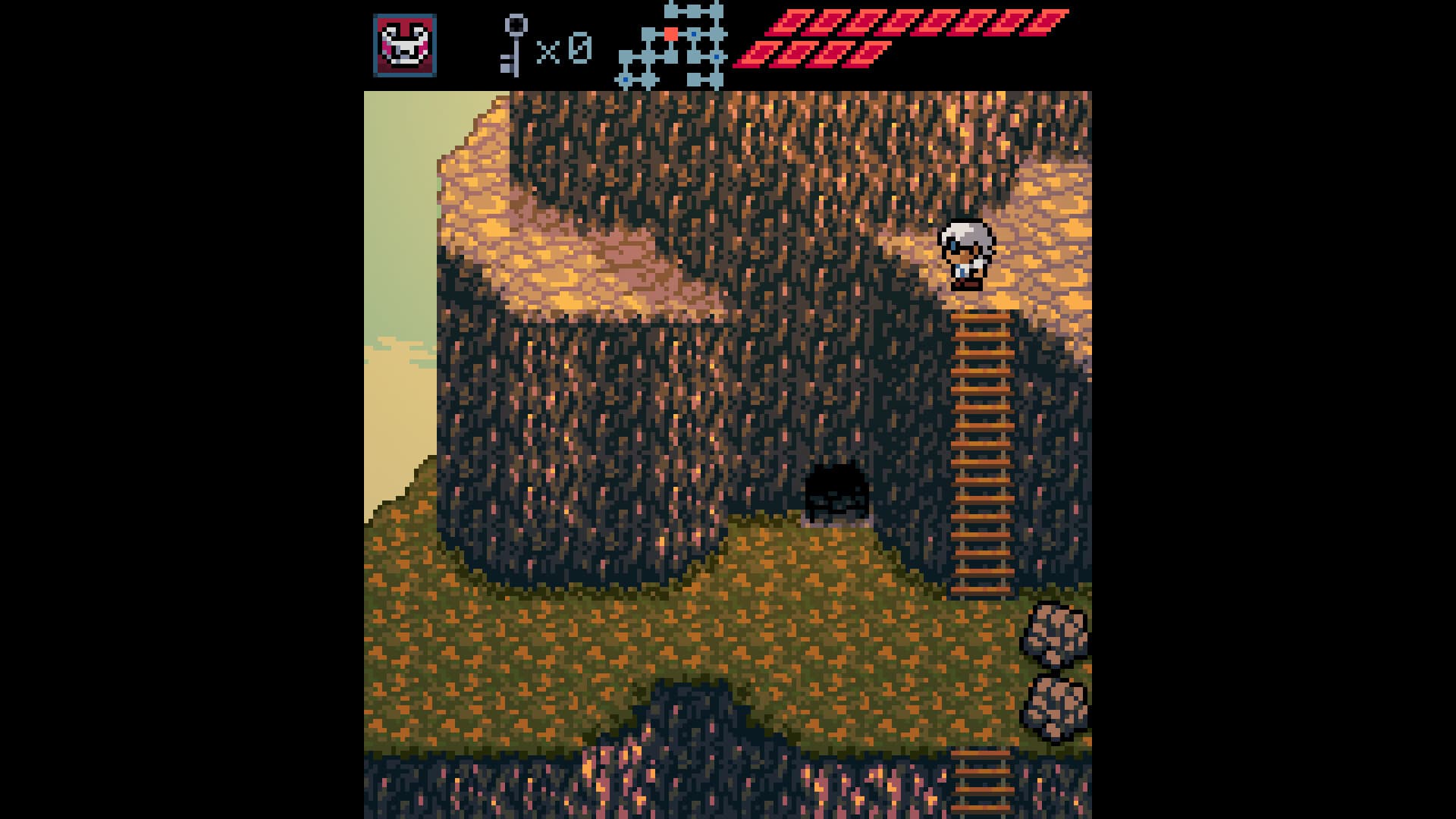 Anodyne PC Steam CD Key - 4