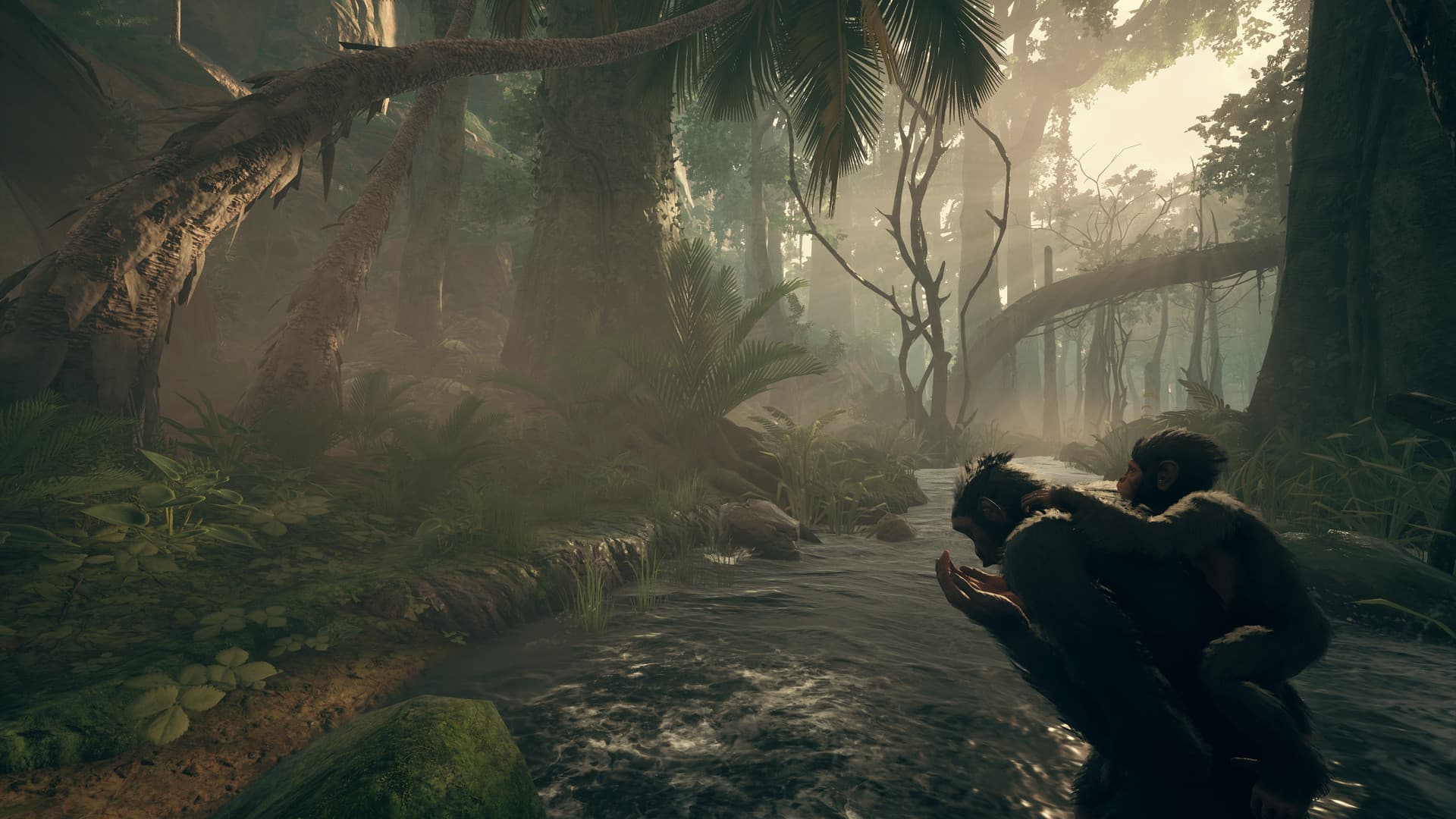 Ancestors: The Humankind Odyssey PC Steam Account - 4