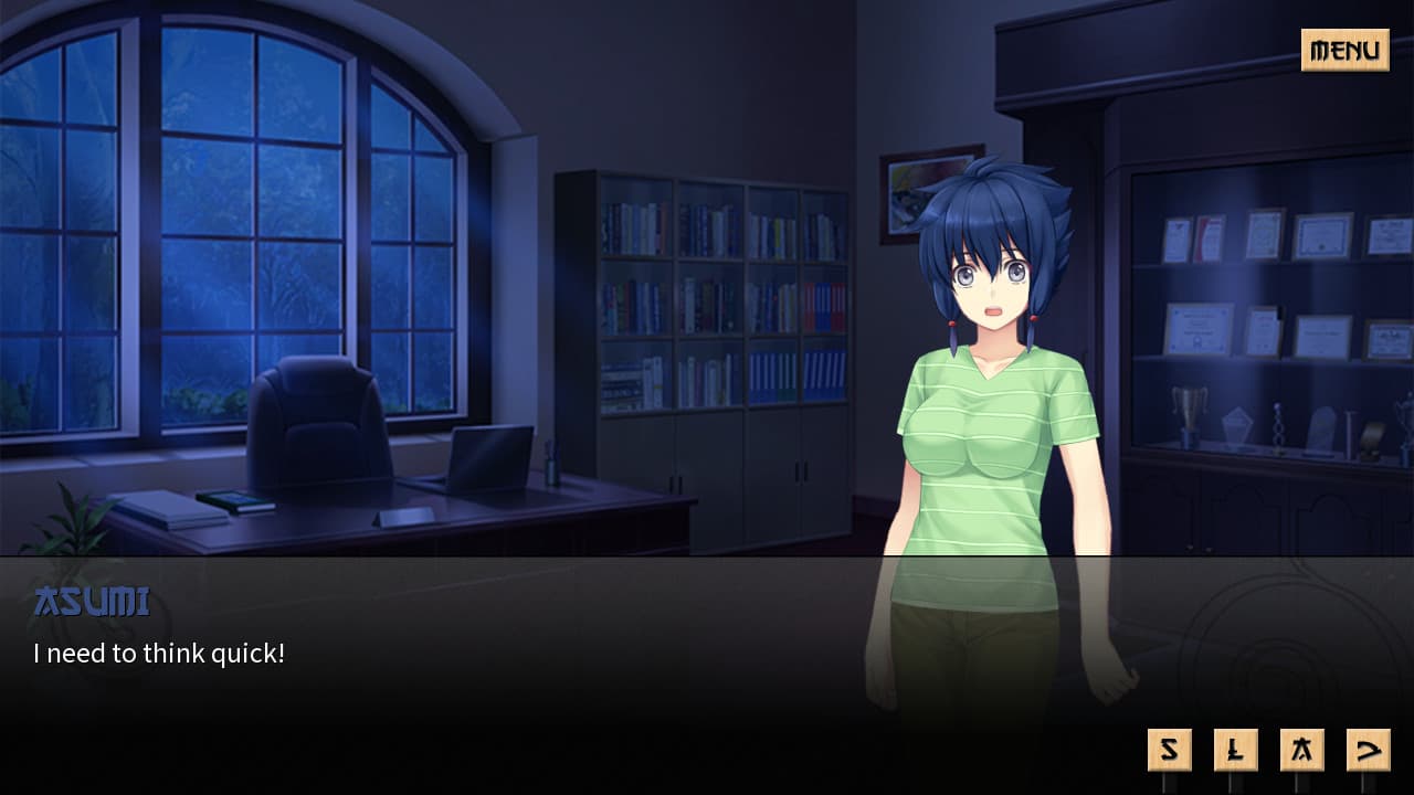 Sword of Asumi Steam CD Key - 5