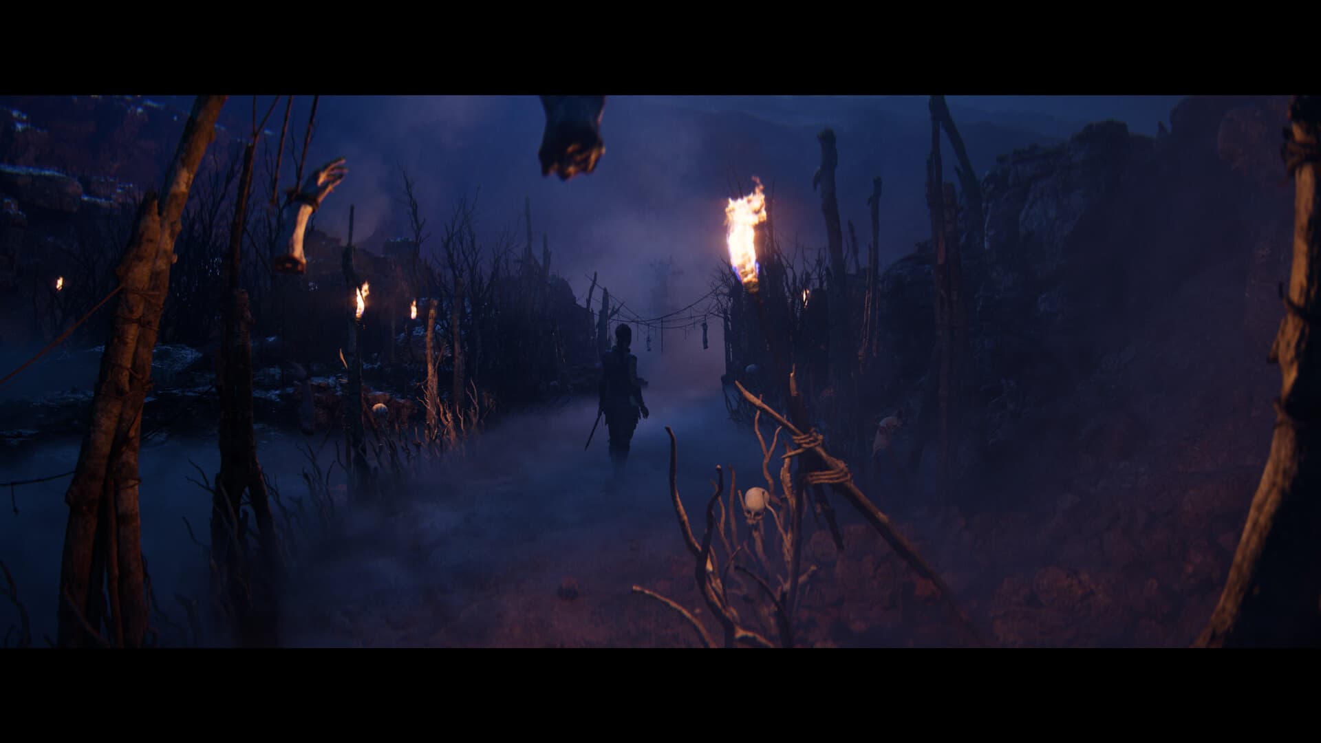 Senua’s Saga: Hellblade II PC Steam Account - 3