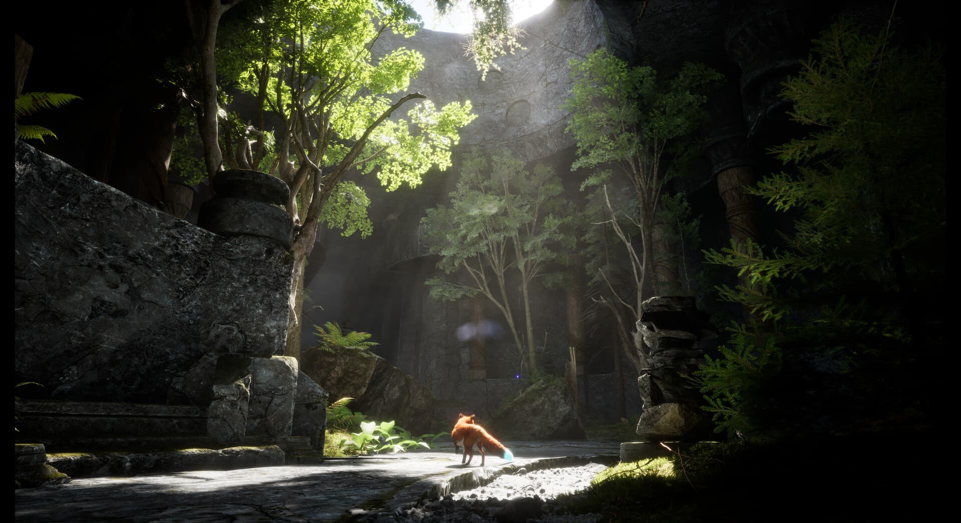 Spirit of the North 2 PC Steam Account - 3
