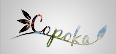 Copoka PC Steam CD Key