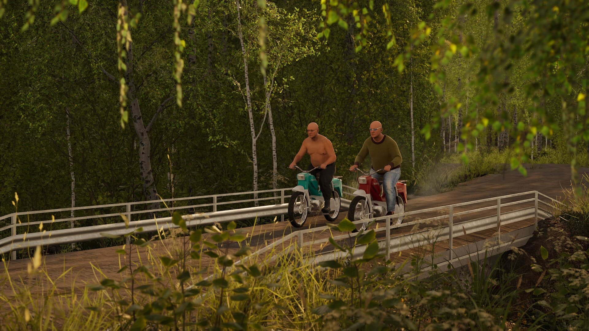 Finnish Cottage Simulator PC Steam Account - 7