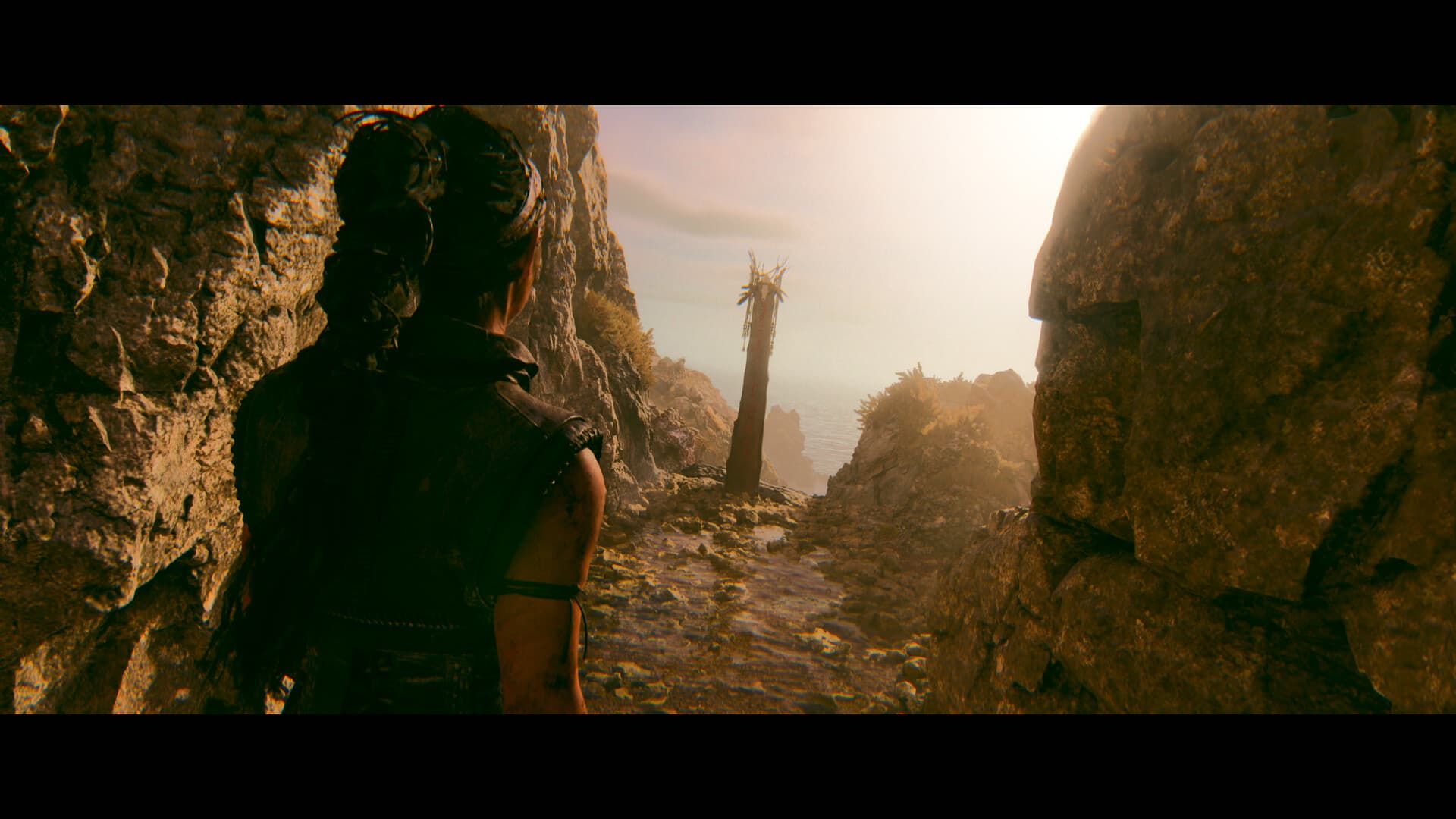 Senua’s Saga: Hellblade II PC Steam Account - 8
