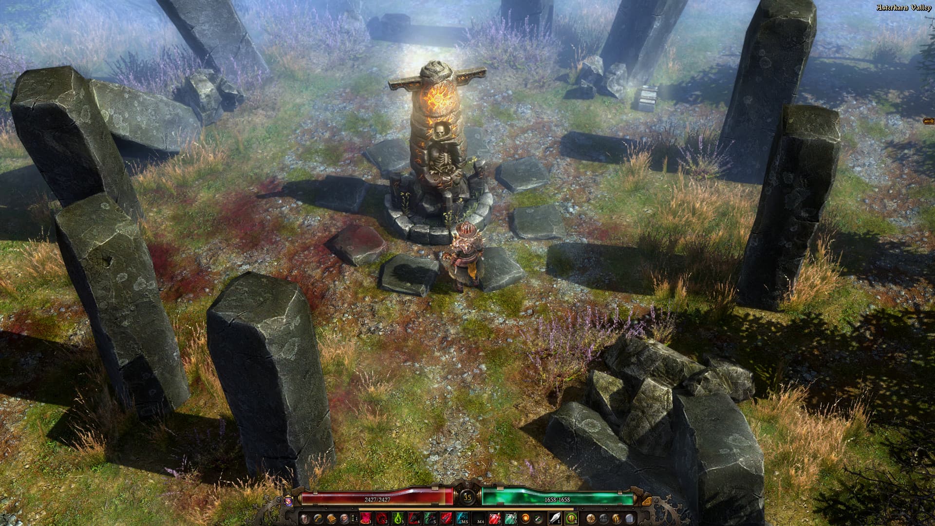 Grim Dawn PC Steam Account - 8