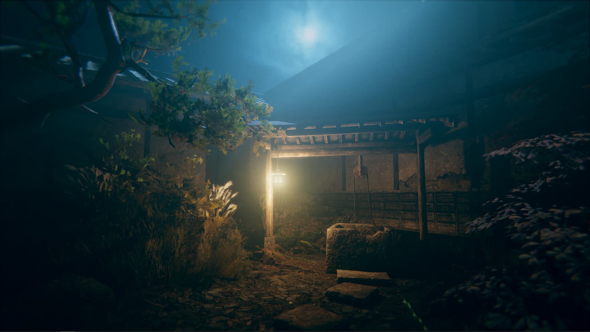 Hollow Cocoon PC Steam Account - 6