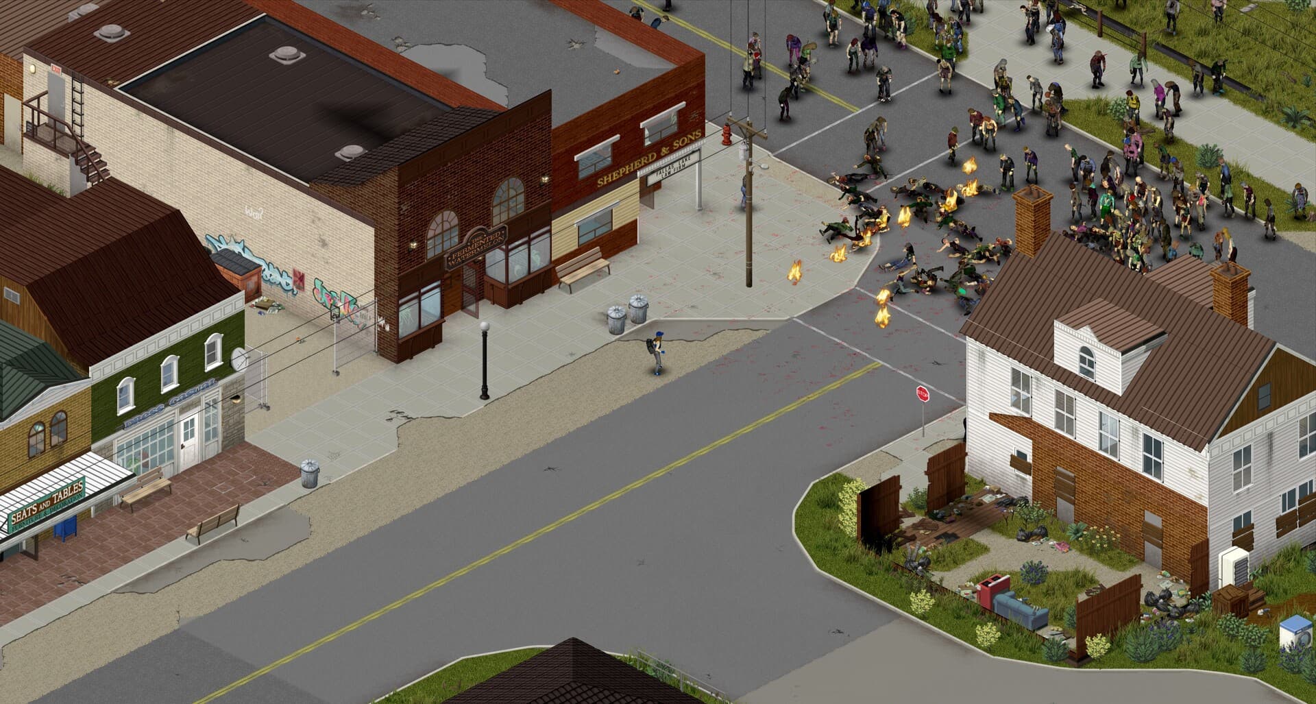 Project Zomboid Steam Account - 3