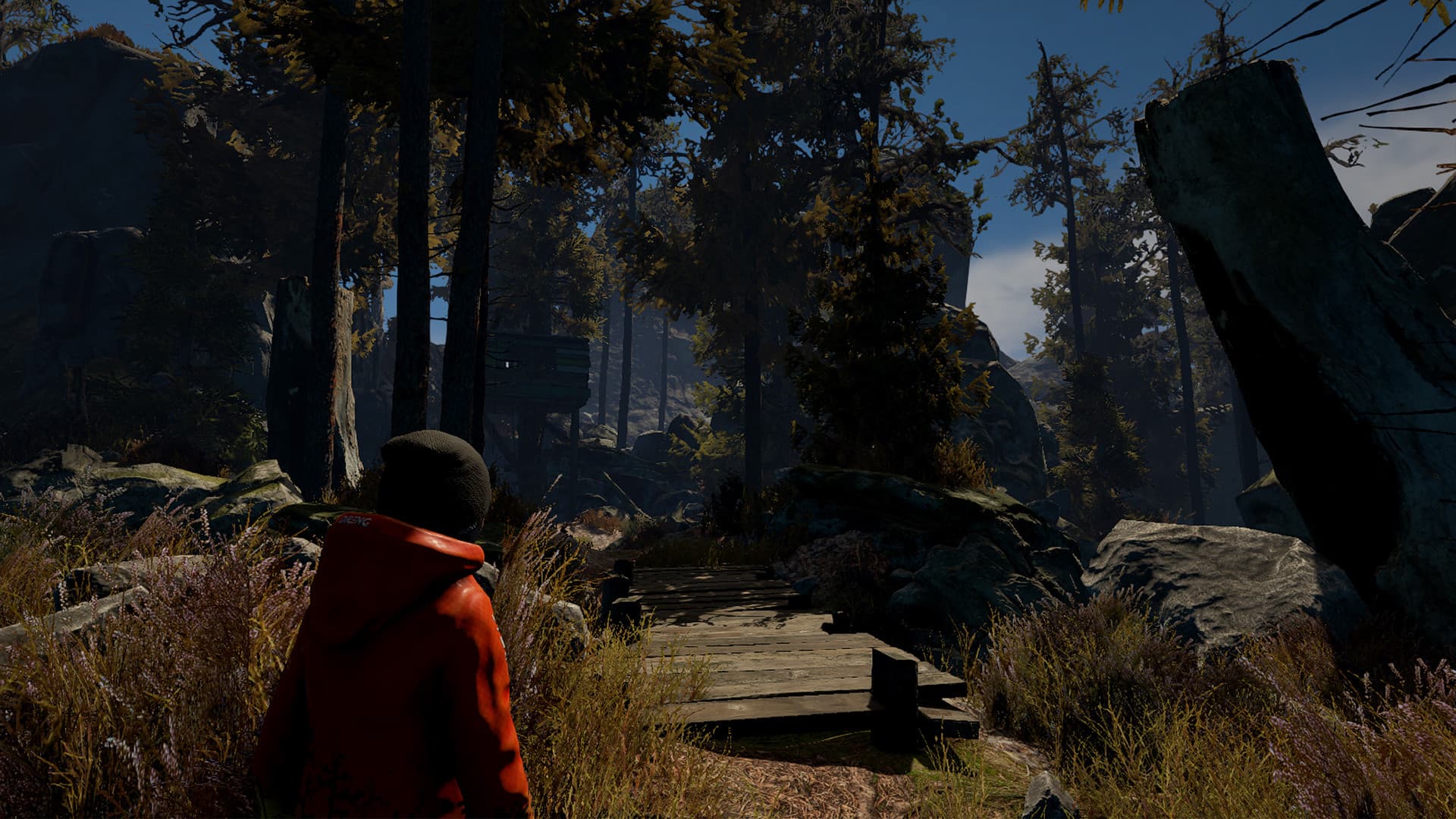 Through the Woods PC Steam Account - 3