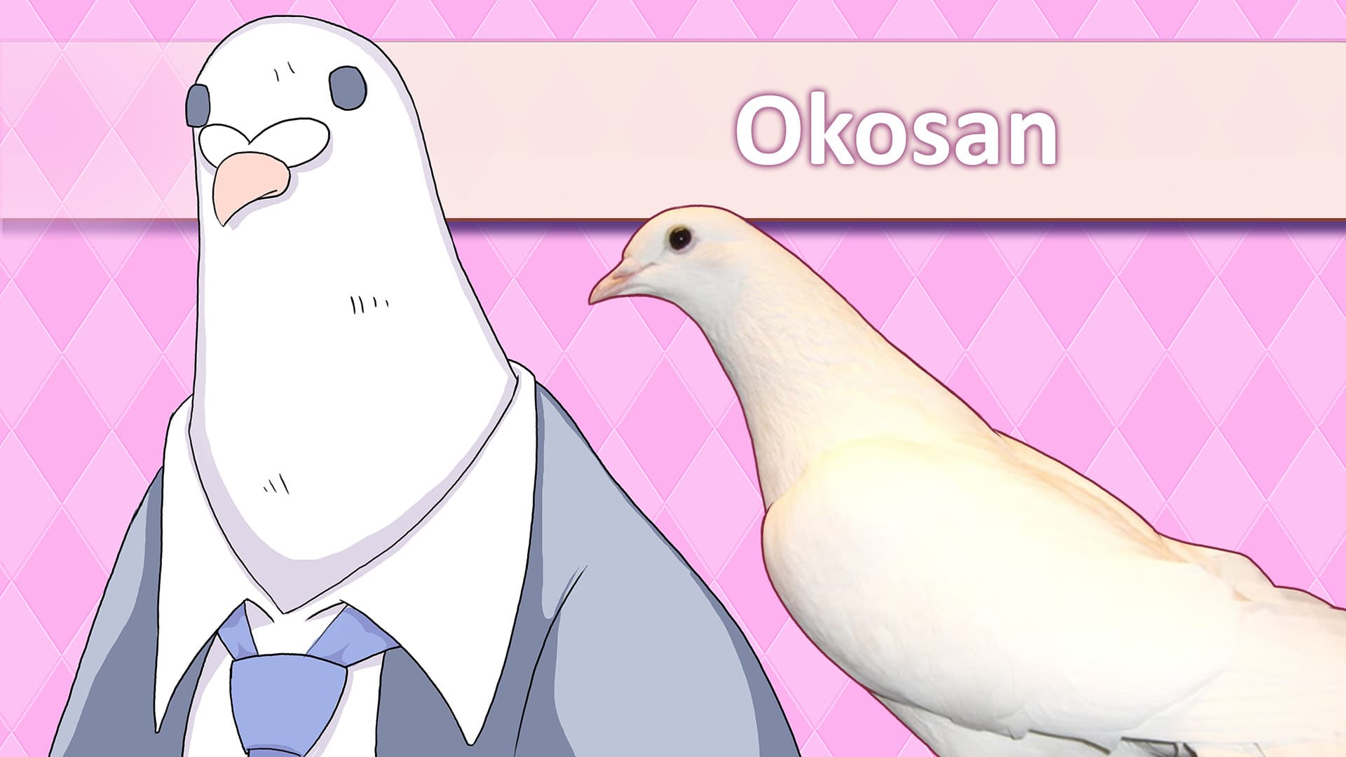 Hatoful Boyfriend Collector's Edition Steam CD Key - 5