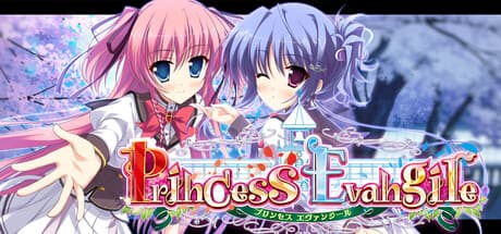 Princess Evangile All Ages Version Steam CD Key