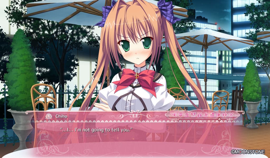 Princess Evangile All Ages Version Steam CD Key - 3