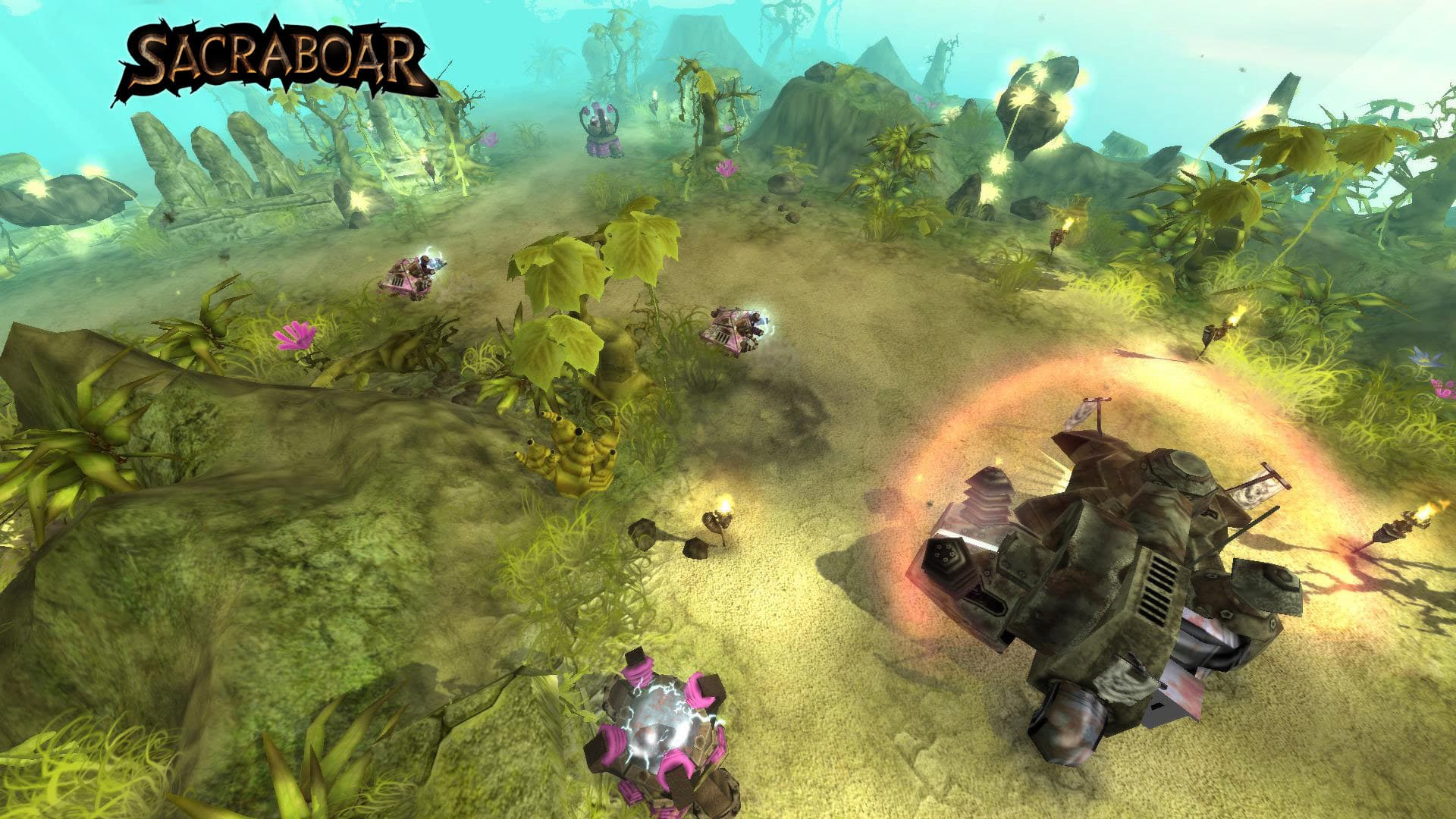 Sacraboar Steam CD Key - 2