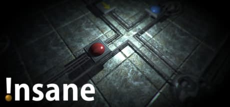 Insane Steam CD Key
