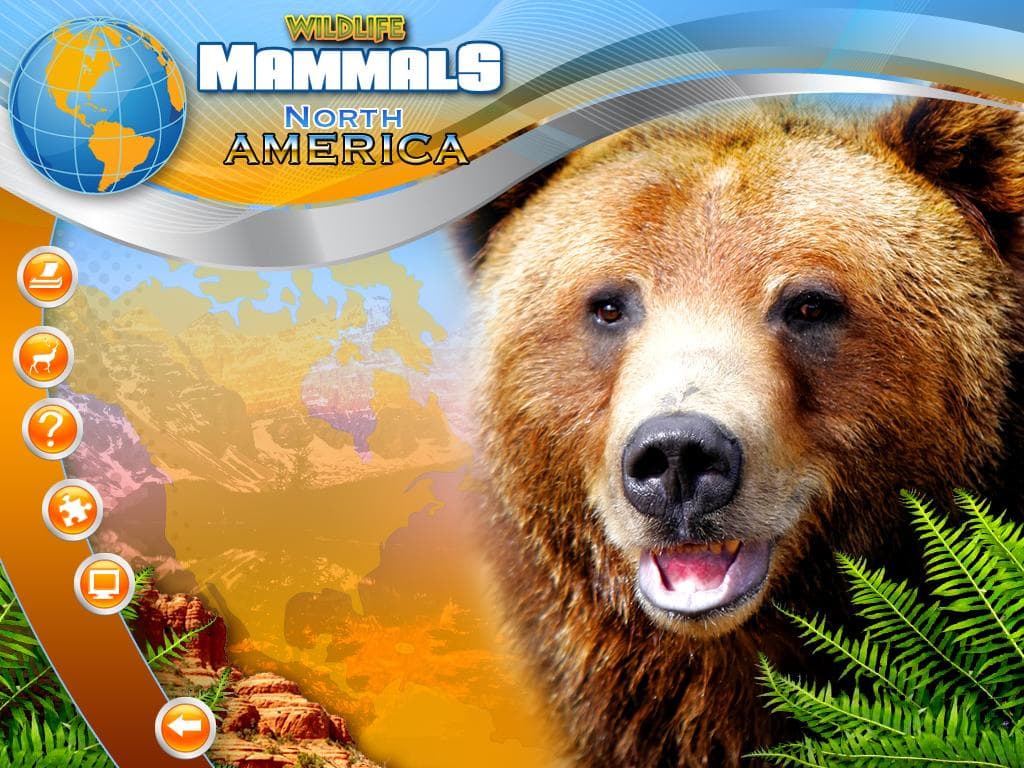 Wildlife Creative Studio PC Steam CD Key - 3