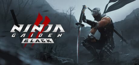 NINJA GAIDEN 2 Black PC Steam Account