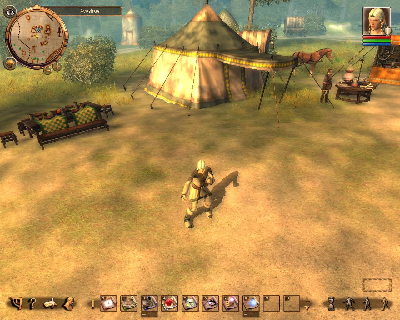 Drakensang Steam CD Key - 4
